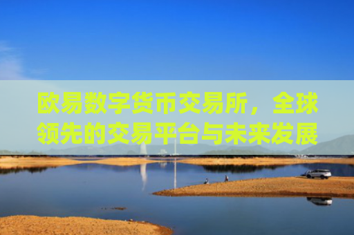 欧易数字货币交易所，全球**的交易平台与未来发展趋势解析_