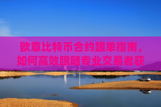 欧意比特币合约跟单指南,如何**跟随专业交易者获利_欧比特合约手续费