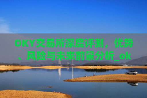 OKY交易所深度评测，优势、风险与未来前景分析_oky交易所app