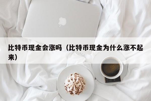 比特币现金会涨吗(比特币现金为什么涨不起来)