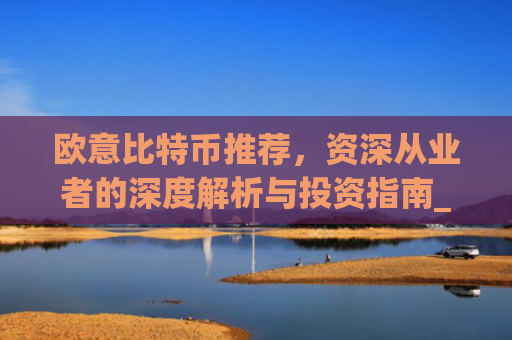 欧意比特币推荐,资深从业者的深度解析与投资指南_欧比特币app