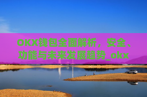OKX钱包**解析,安全、功能与未来发展趋势_okx钱包地址查询