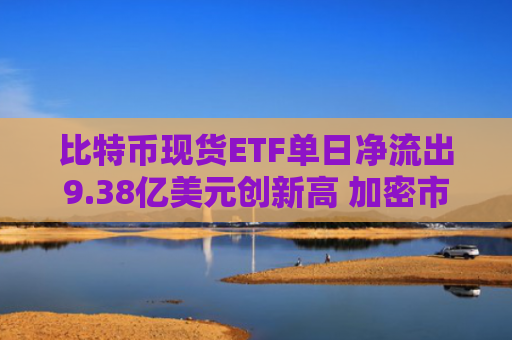 比特币现货ETF单日净流出9.38亿美元创新高 加密市场受宏观经济波动影响加剧