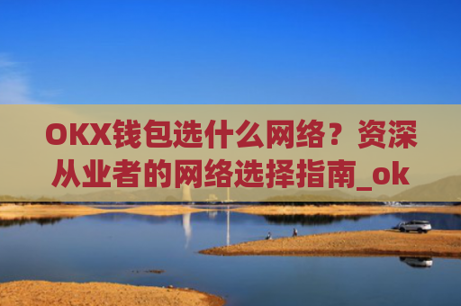 OKX钱包选什么网络?资深从业者的网络选择指南_okex钱包属于什么类型