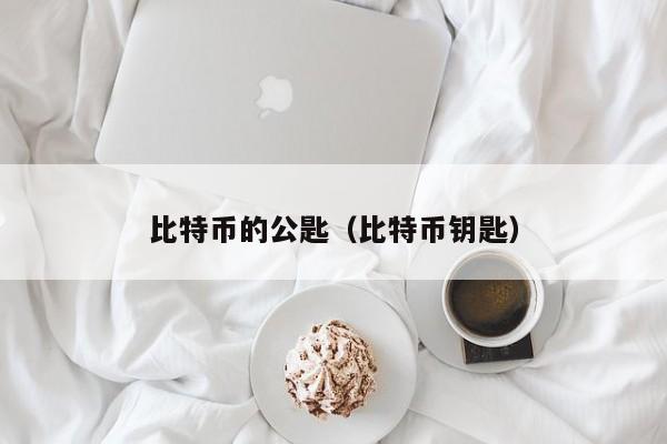 比特币的公匙(比特币钥匙)
